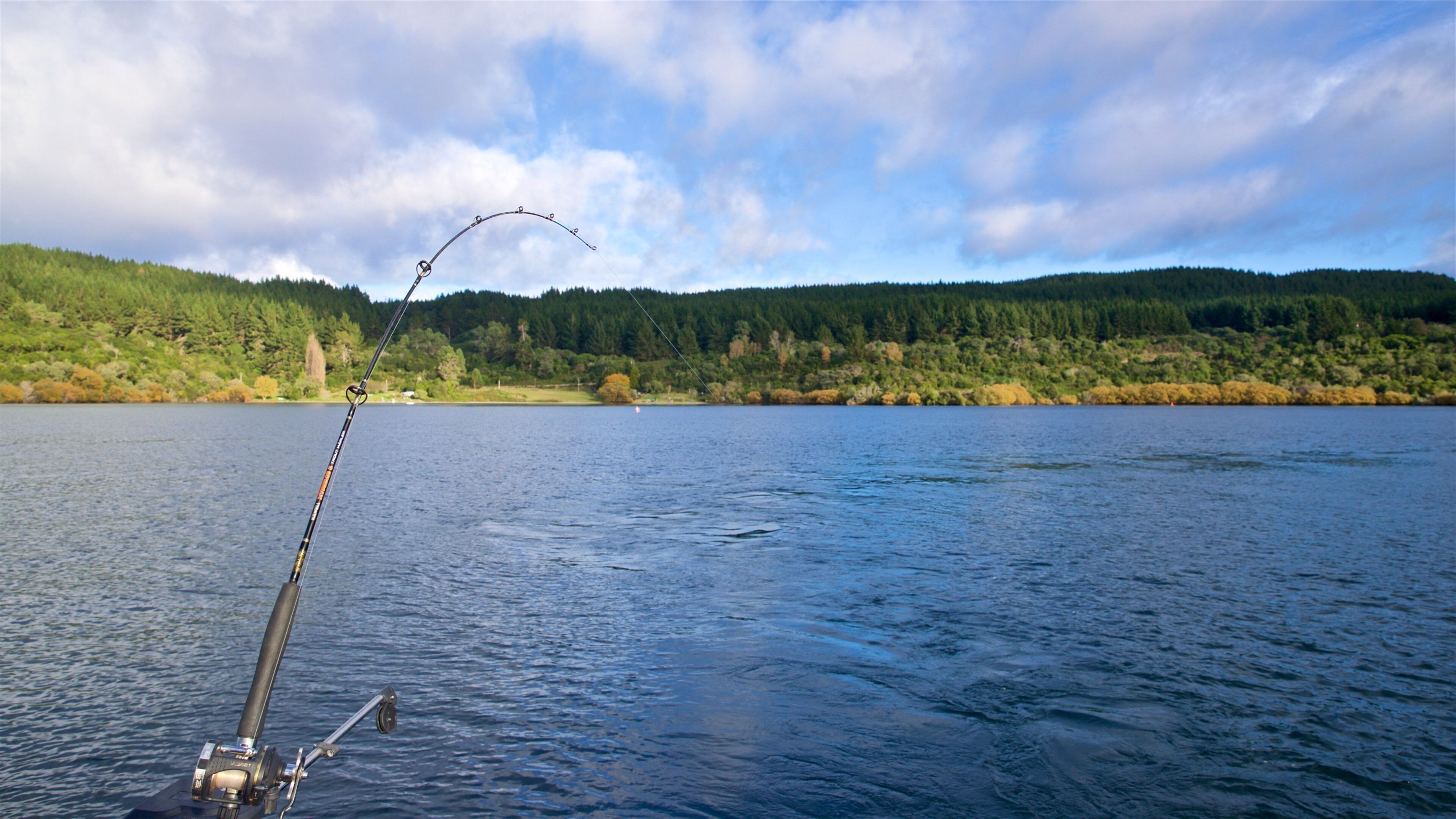 Waikato featuring fishing and a lake or waterhole