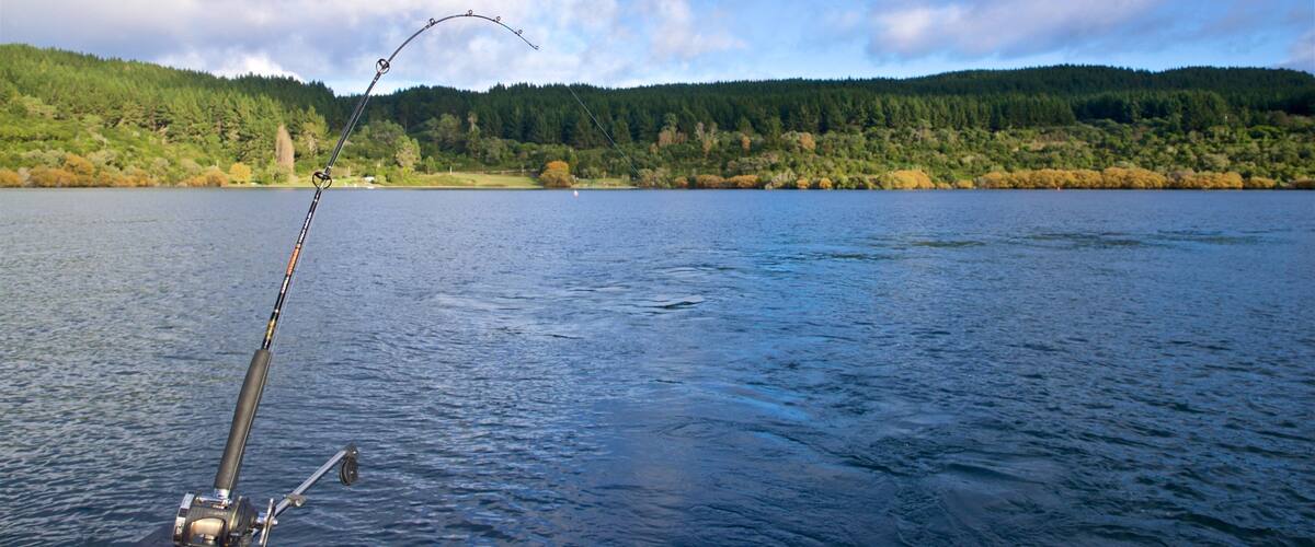 Waikato featuring fishing and a lake or waterhole