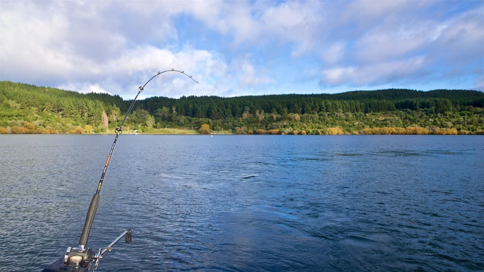 Waikato featuring fishing and a lake or waterhole