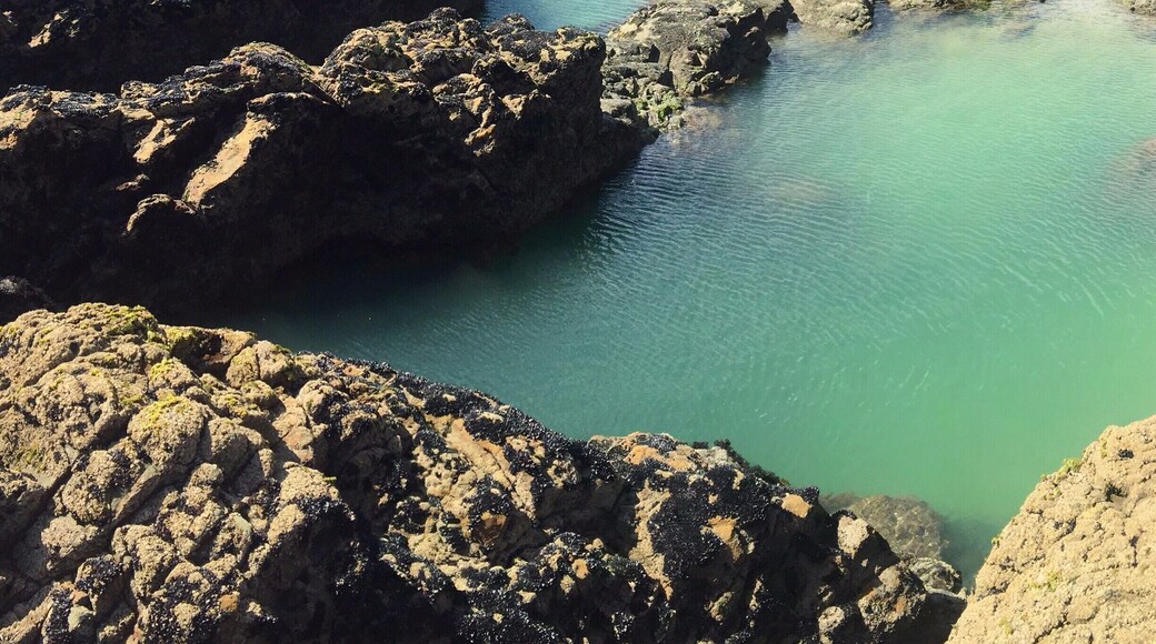I've always visited Port Waikato since I was a child. There's a lot of memories here, this is the most beautiful spot here!