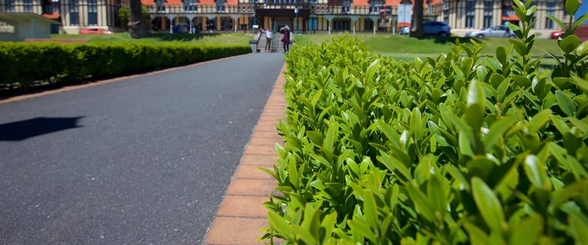 Bay of Plenty featuring a park