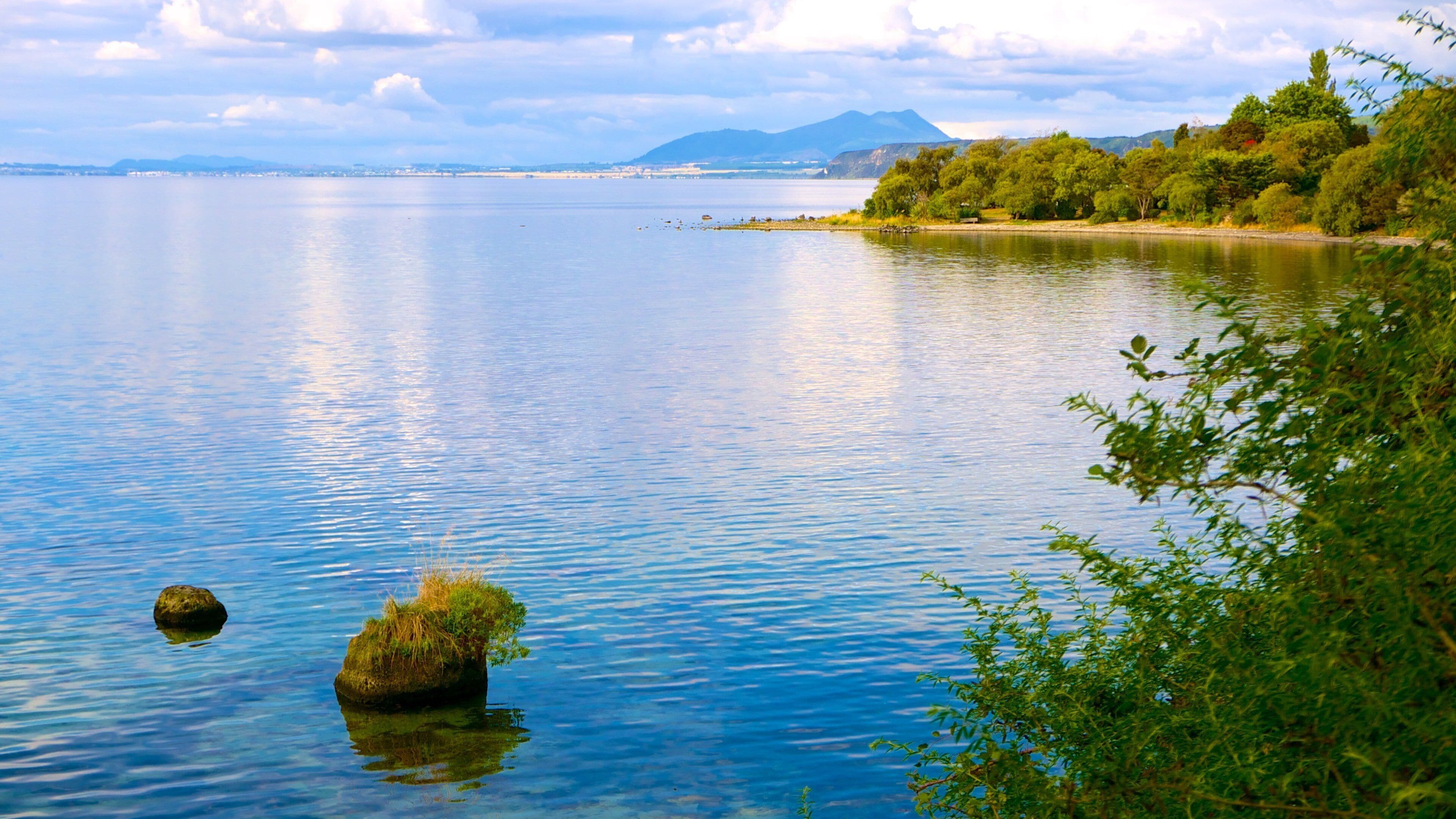Taupo featuring a lake or waterhole