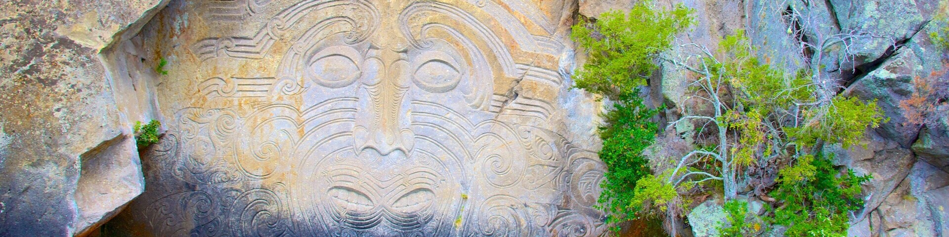 Taupo que incluye arte y cultura indígena