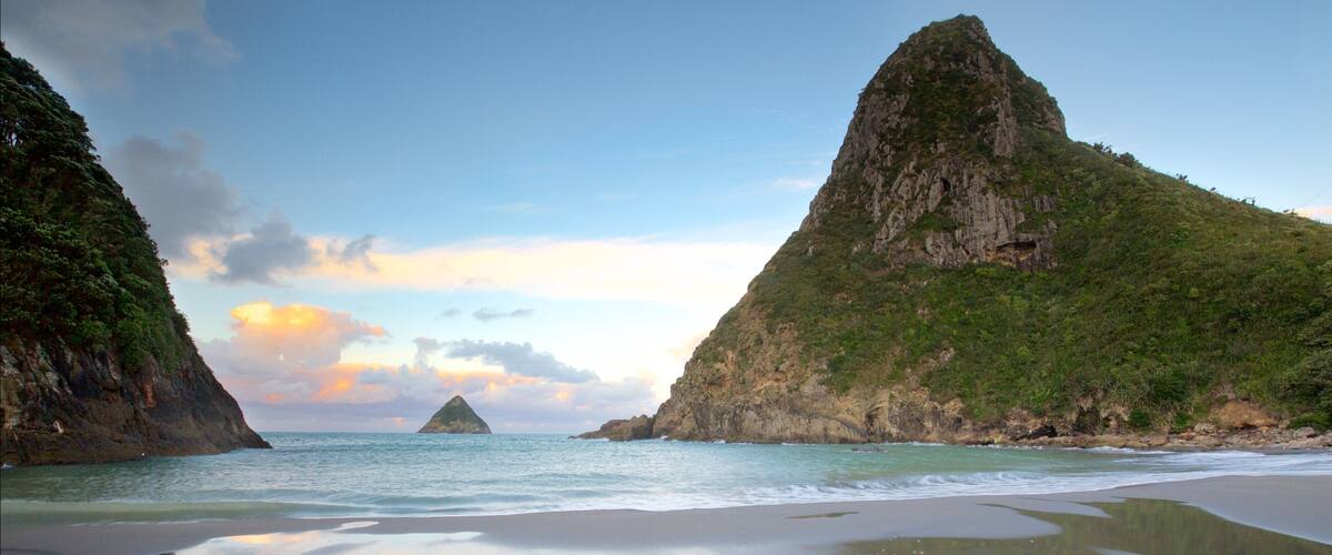 Taranaki which includes a sandy beach, a sunset and a bay or harbour