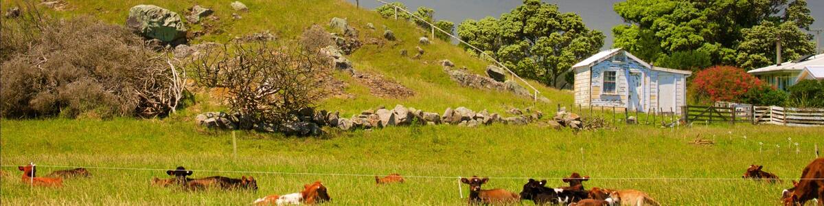 Taranaki which includes farmland, a lighthouse and mountains