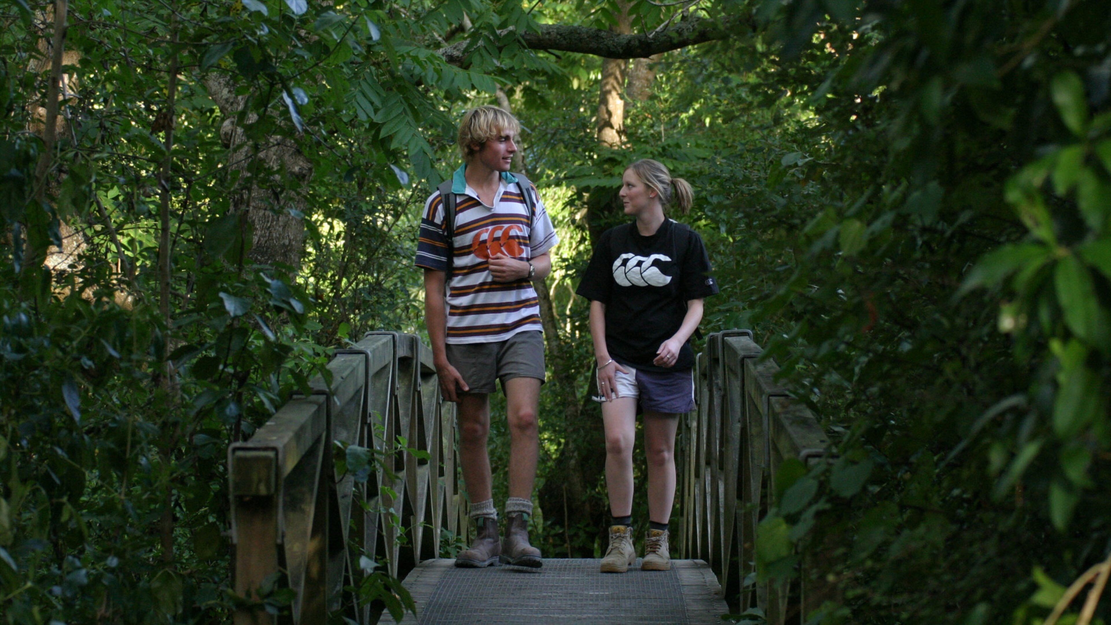 Manawatu - Wanganui showing forests, hiking or walking and a garden