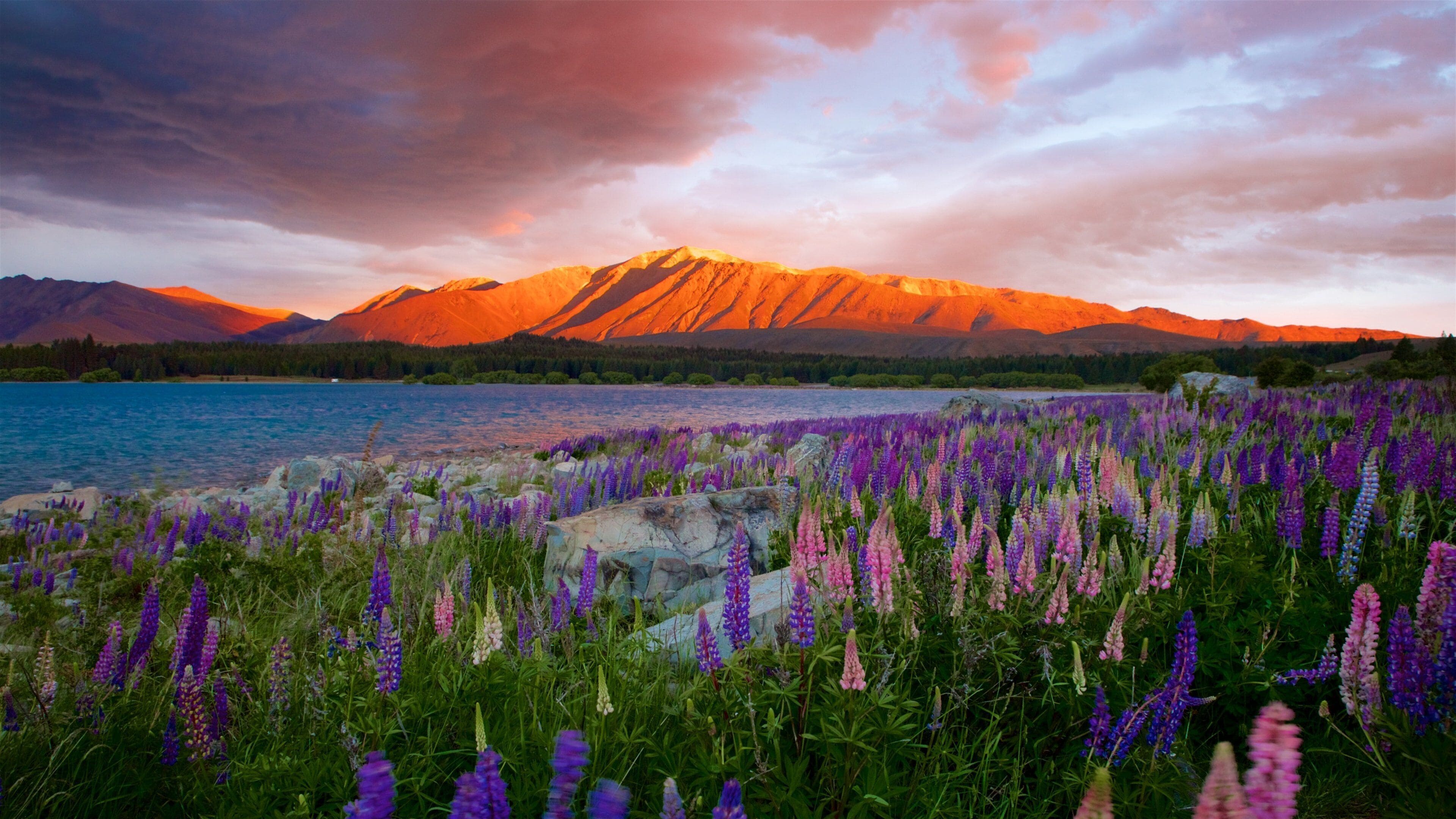 Canterbury welches beinhaltet Landschaften, See oder Wasserstelle und Sonnenuntergang