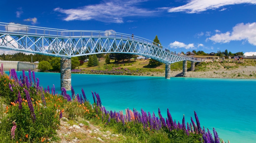 Canterbury das einen Fluss oder Bach, Wildblumen und Brücke