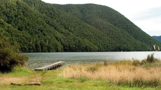 This is the jetty at lake Daniels, seen from the doc hut. There is a lovely walk through the jungle-like forest that takes a few hours to get to the lake.