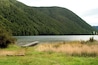 This is the jetty at lake Daniels, seen from the doc hut. There is a lovely walk through the jungle-like forest that takes a few hours to get to the lake.