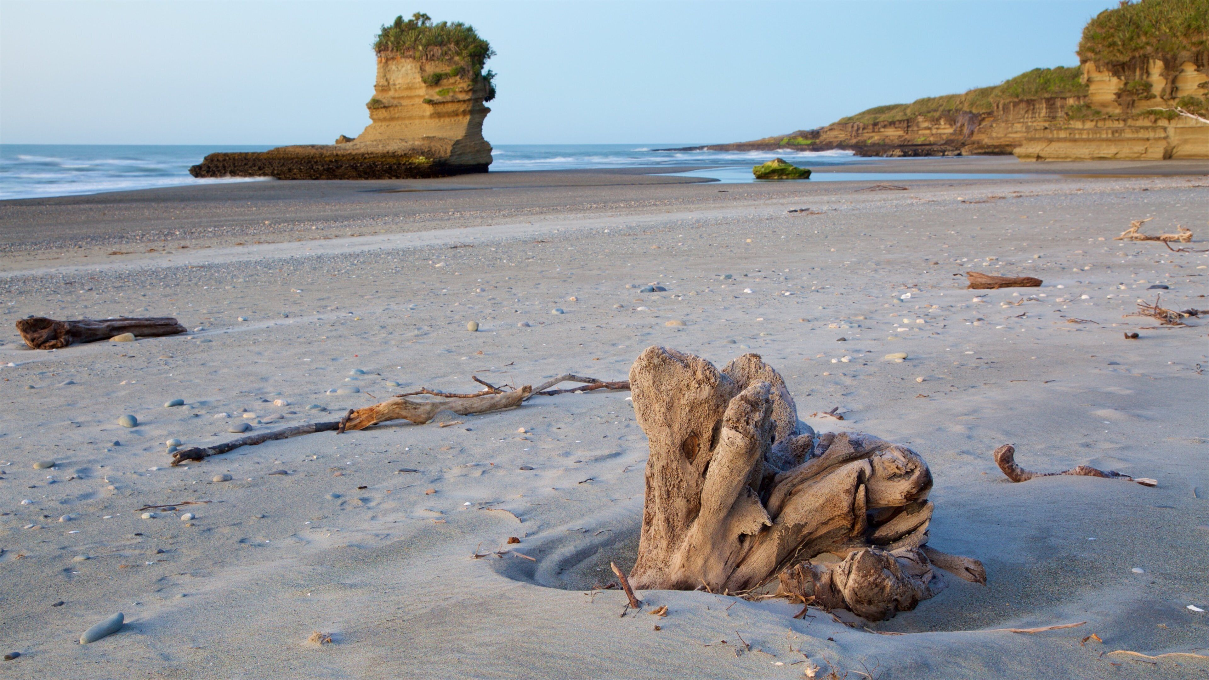 West Coast New Zealand showing rugged coastline and a sandy beach