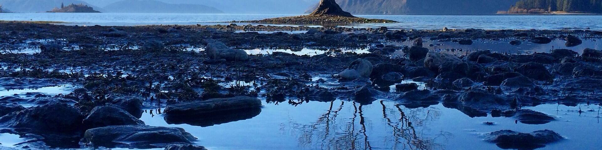 Incredible reflections of #ThatWanakaTree at Lake Wanaka, New Zealand.
It's a landmark of Lake Wanaka that's gaining a following as something pretty unique to seek out if you visit this part of the region on a #RoadTrip.
To catch more of our adventures - follow our journey on www.TheAdventureIsCalling.Com
#NewZealand #NZMustDo #LakeWanaka #Adventure #Nature #Travel #Bucketlist #Blue #BestOf5