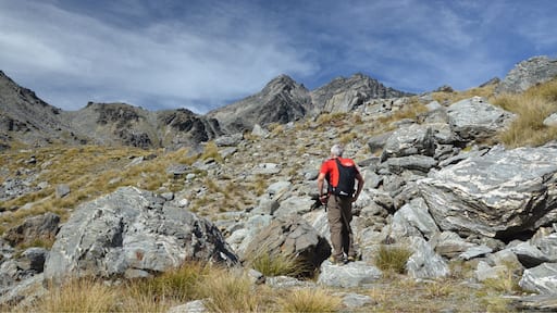 Tucked behind the Remarkables Mountains in Queenstown lies a hidden little gem called 'Lake Alta'.
Not only is it one of the most uniquely located lakes in the region but surrounded by an amphitheater of jagged rock faces creates a feeling like you could be on another planet.
#Queenstown #NewZealand