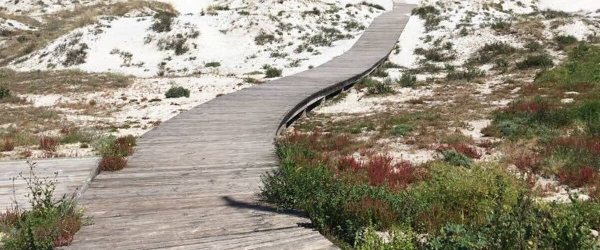 Wild beach in Costa da Morte #WeLoveOurMarkets #lifeatexpedia