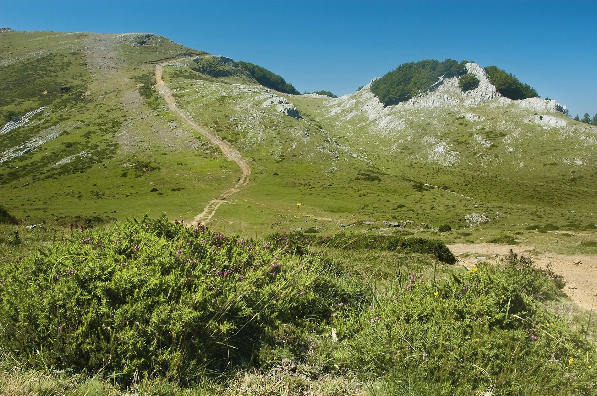 Ezkerrean Arlutz, eskuinean Erlaitz.