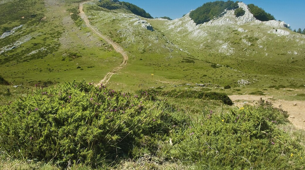 Ezkerrean Arlutz, eskuinean Erlaitz.