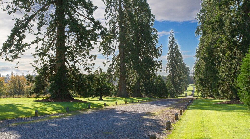 Emo Court house and gardens, located near the village of Emo in County Laois, Ireland. Emo park