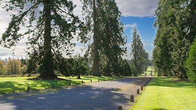 Emo Court house and gardens, located near the village of Emo in County Laois, Ireland. Emo park