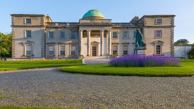 Un grand bâtiment imposant, surmonté d’un dôme vert et orné de colonnes, entouré d’une pelouse parfaitement entretenue et de fleurs violettes.