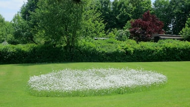 Eine interessante Art Rasen zu mähen, indem auf der Rasenfläche eine Fläche mit Blüten nicht gemäht wird. An diesem Tag mehrmals in Königsbrunn gesehen.