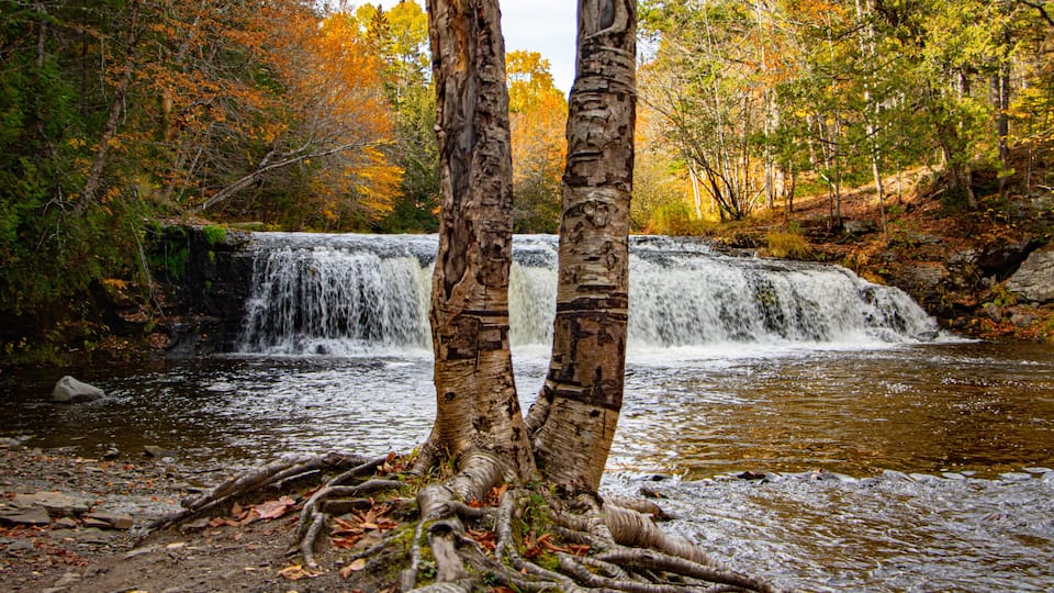 A waterfall surrounded by autumn-colored trees.