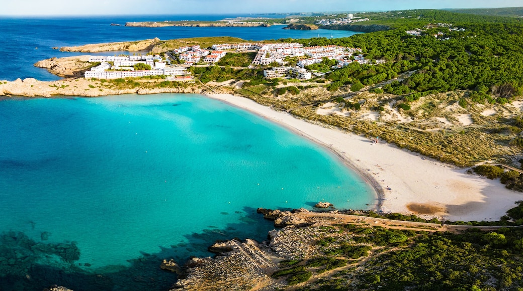 Cala en Bosch