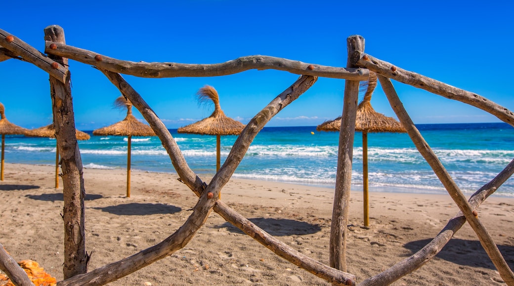 A beach with wooden fences and thatched umbrellas.
