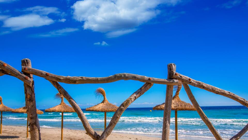 A beach with wooden fences and thatched umbrellas.
