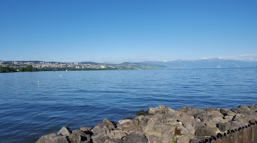 Lac Léman - Suisse - Lausanne - Saint-Sulpice