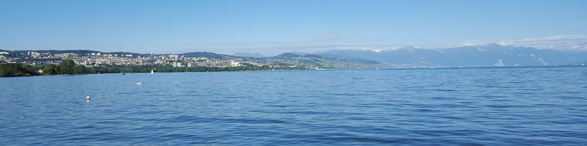 Lac Léman - Suisse - Lausanne - Saint-Sulpice