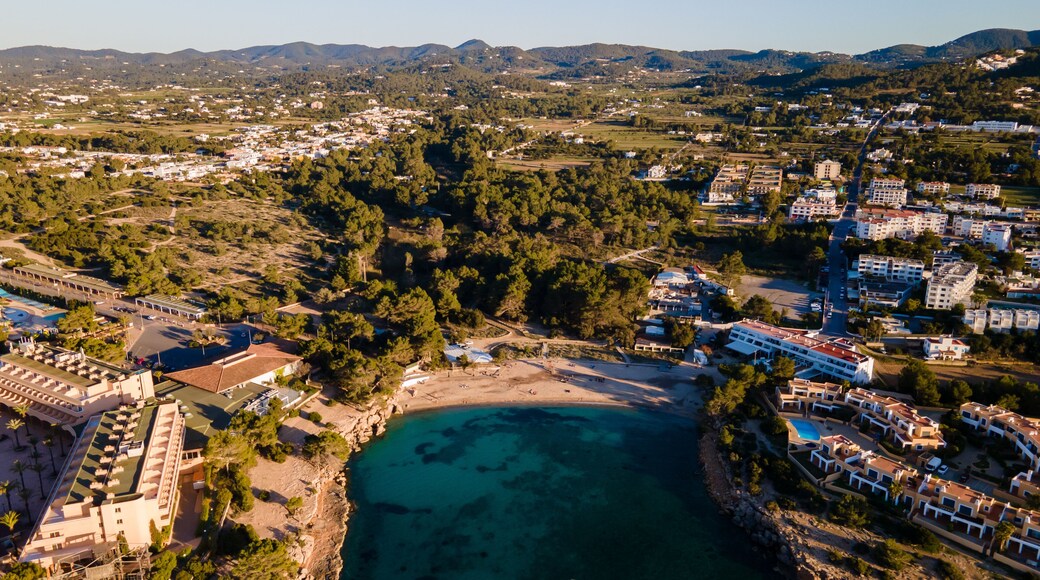 بورت ديس تورنت