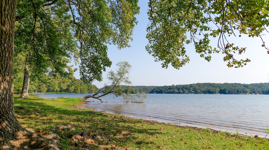 Lakeshore view under a tree on a sunny day in Little rock