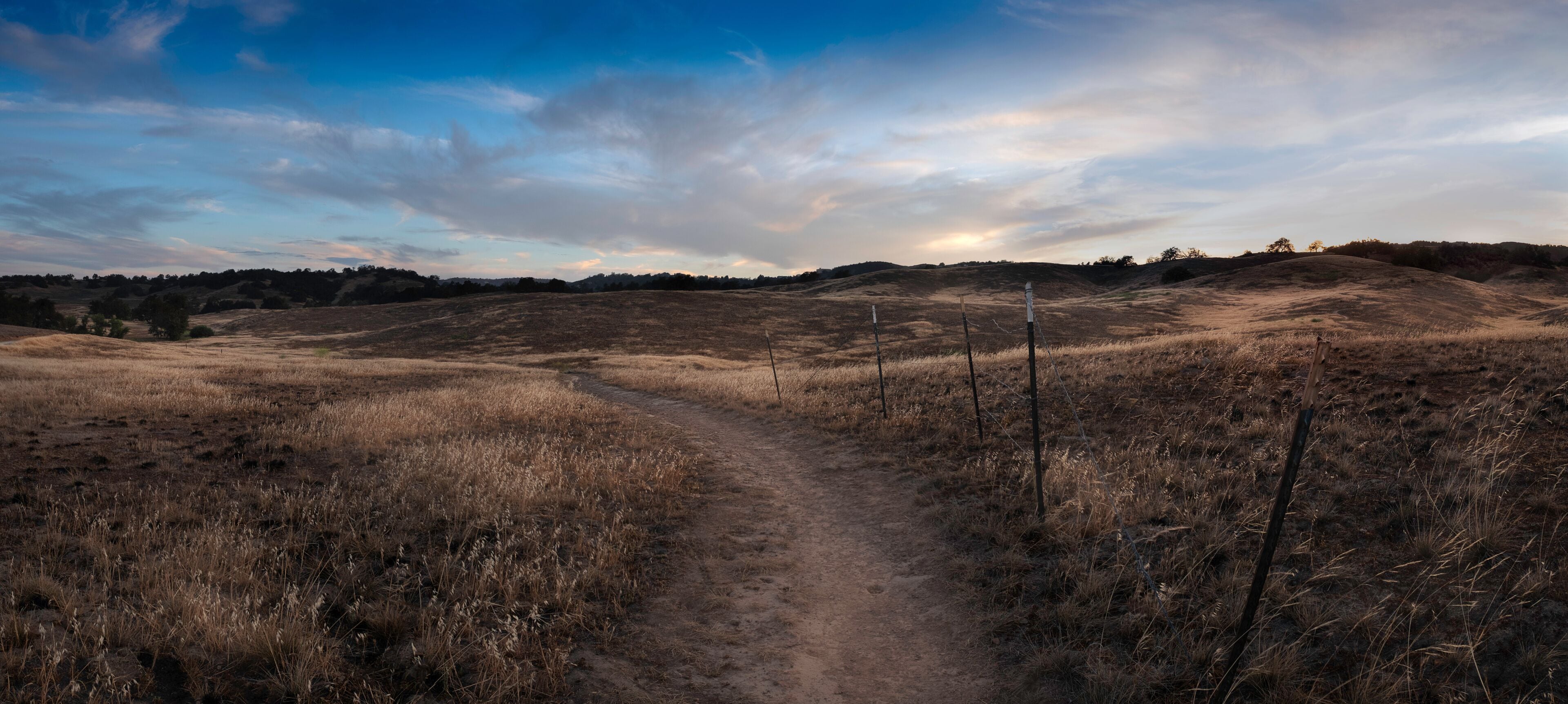 เมอร์เรียตา