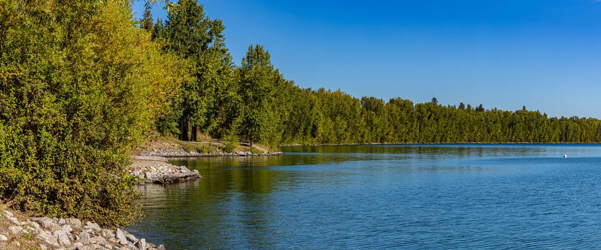 A calm lake surrounded by dense green trees and rocky shorelines.