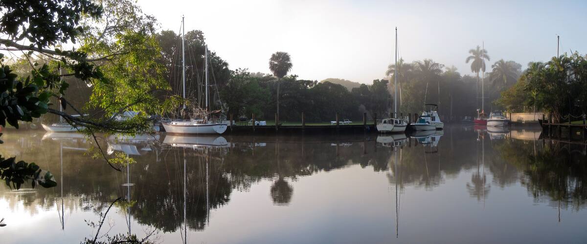 A calm river with several boats docked along the shore, surrounded by lush greenery and palm trees.