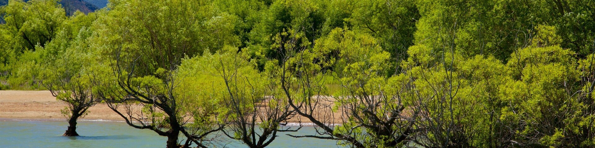Un río con árboles que emergen del agua, una playa arenosa y montañas al fondo.