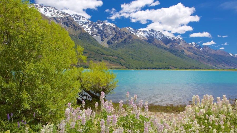 Glenorchy showing wildflowers, a pebble beach and a lake or waterhole