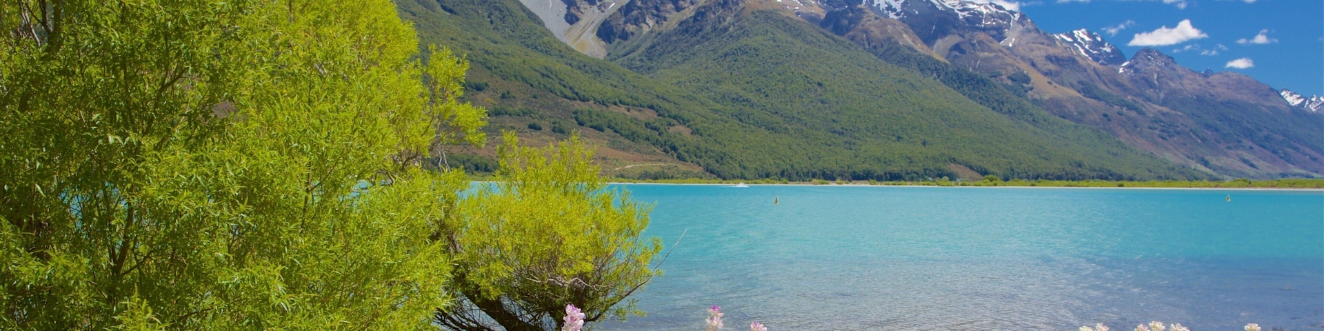 Glenorchy showing wildflowers, a pebble beach and a lake or waterhole