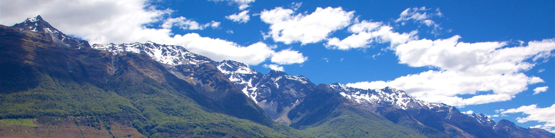 Glenorchy montrant plage de galets, scÚnes forestiÚres et lac ou étang