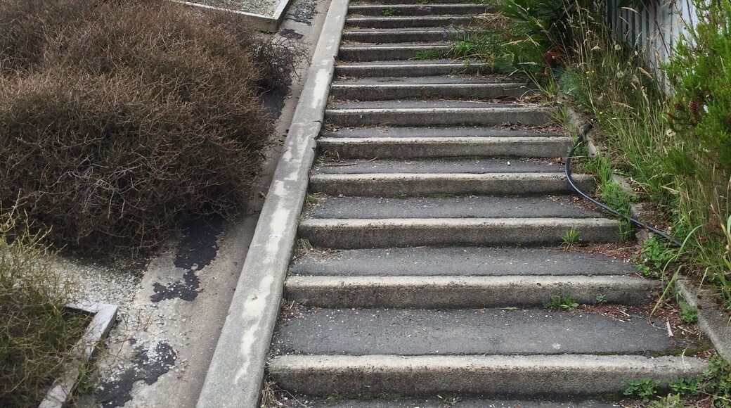 The worlds steepest street... Had to check it out. It didn't seem that bad, until you reach the top. Obviously pictures don't either incline justice. Must be so obnoxious living on the street with all the tourists daily. Even has stairs to help walk up
