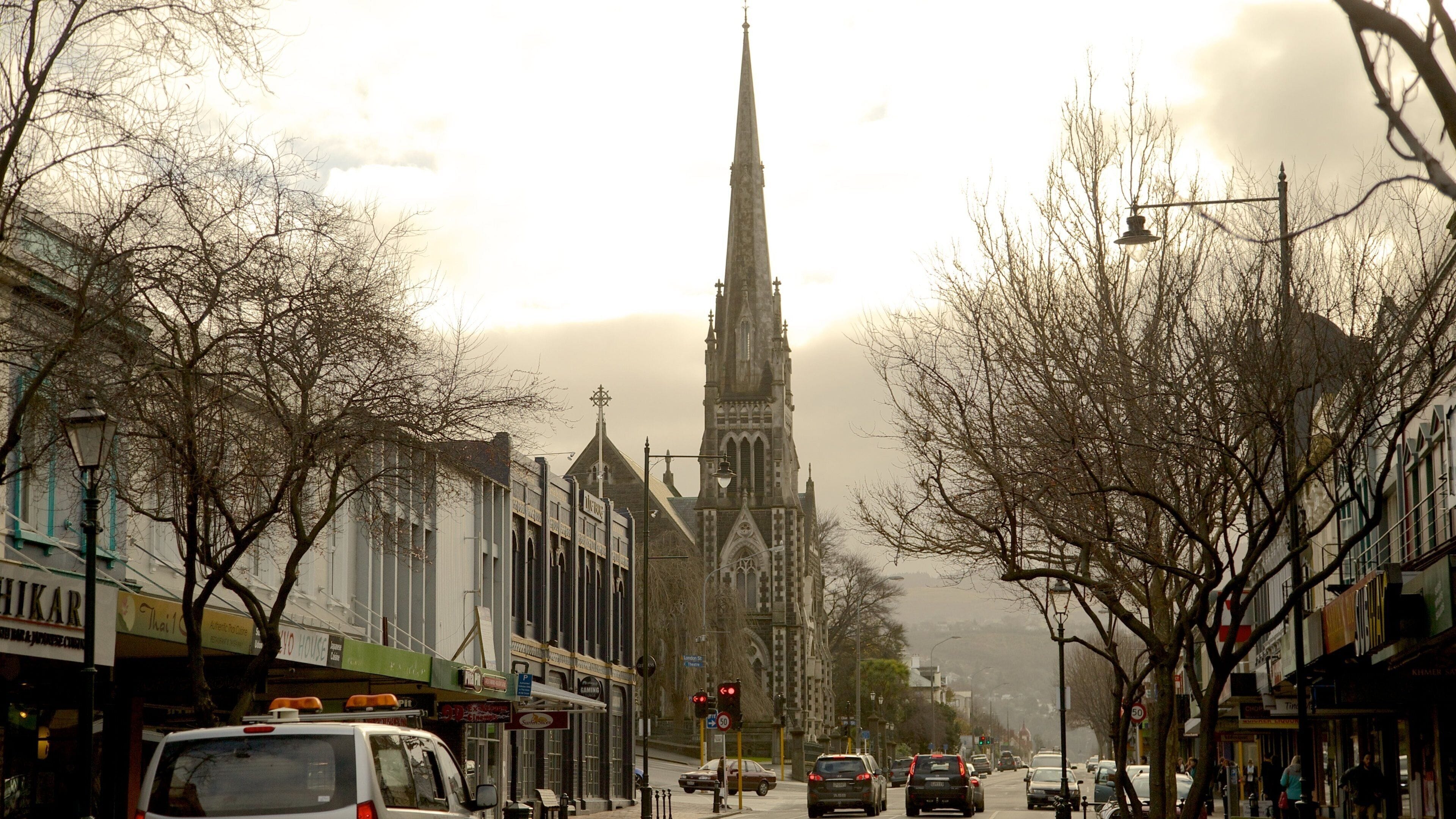 Dunedin som inkluderer kirke eller katedral, tåke og gatescener