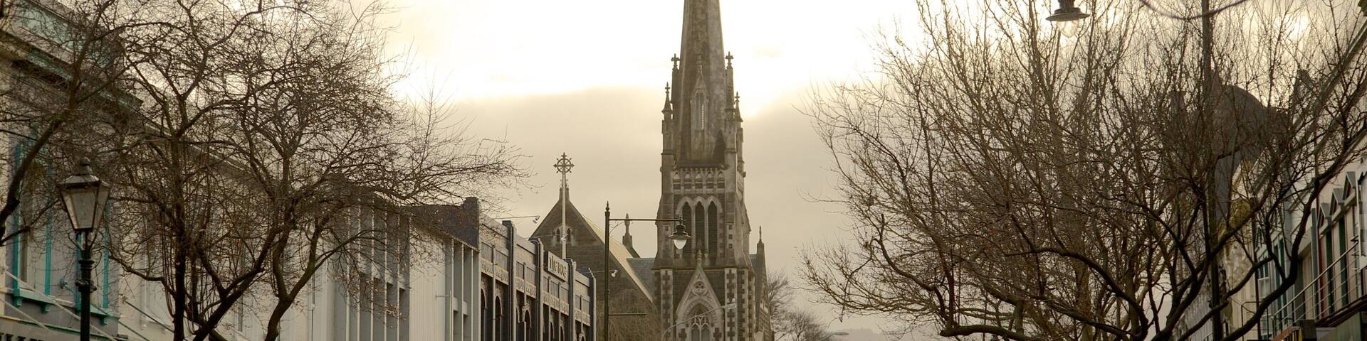 Dunedin featuring street scenes, mist or fog and a church or cathedral
