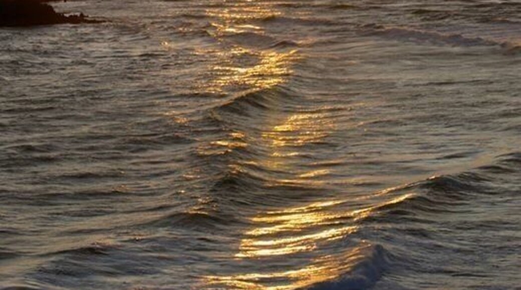 Karetai Track, Otago Peninsula. Easy coastal walk which has awesome views and access to Tomahawk Beach