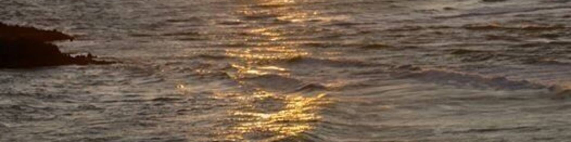 Karetai Track, Otago Peninsula. Easy coastal walk which has awesome views and access to Tomahawk Beach