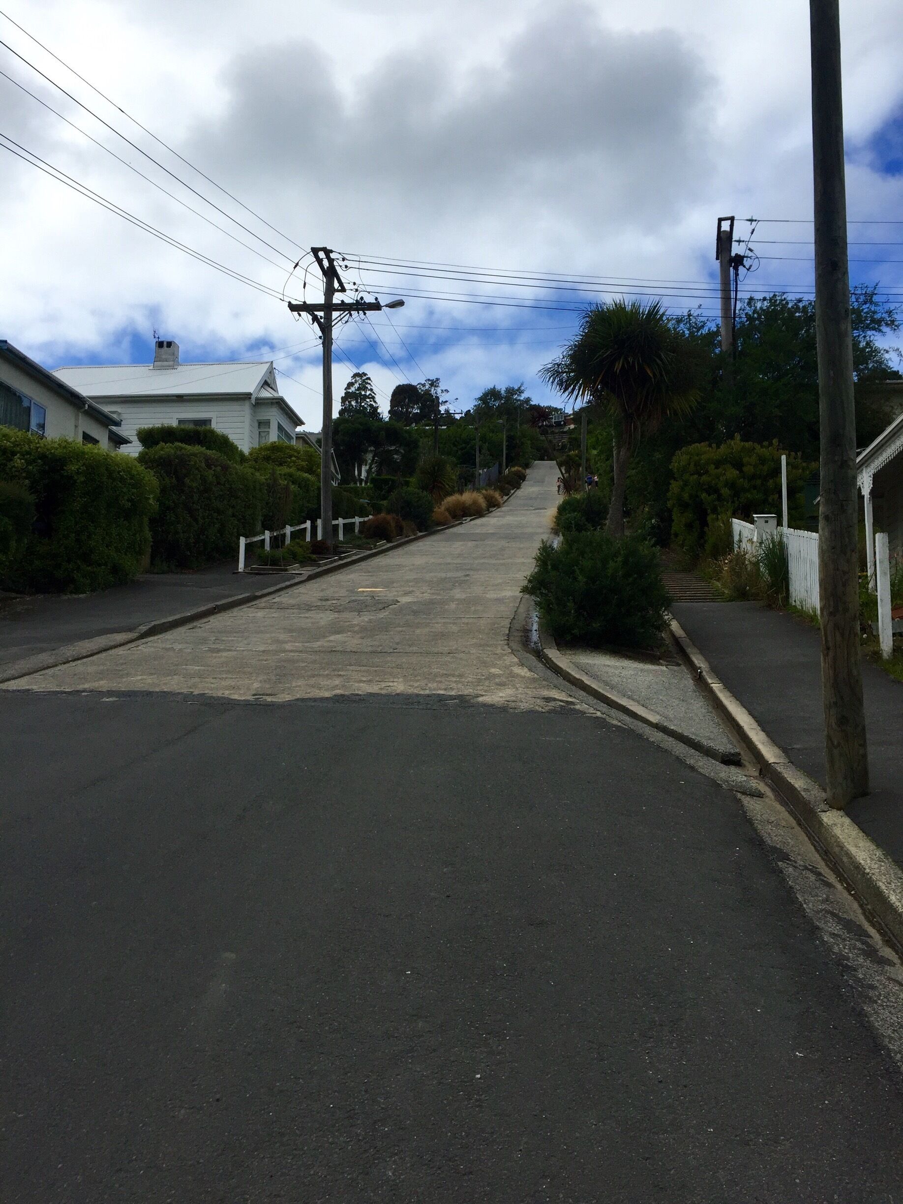 The worlds steepest street... Had to check it out. It didn't seem that bad, until you reach the top. Obviously pictures don't either incline justice. Must be so obnoxious living on the street with all the tourists daily. 