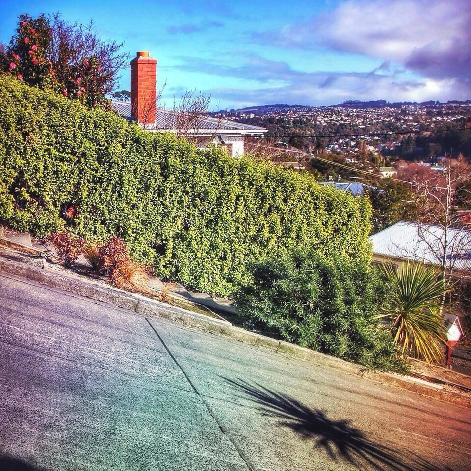 Baldwin Street in Dunedin is considered to be the steepest street in the world. It's worth a visit to walk up for views of the city, but maybe leave your rental car at the bottom