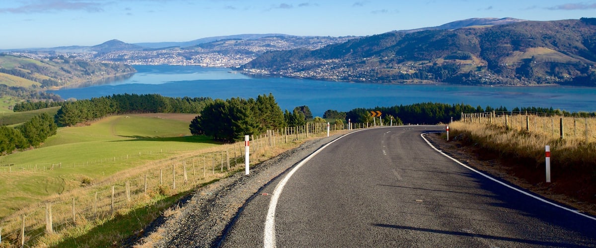 Dunedin which includes landscape views and farmland