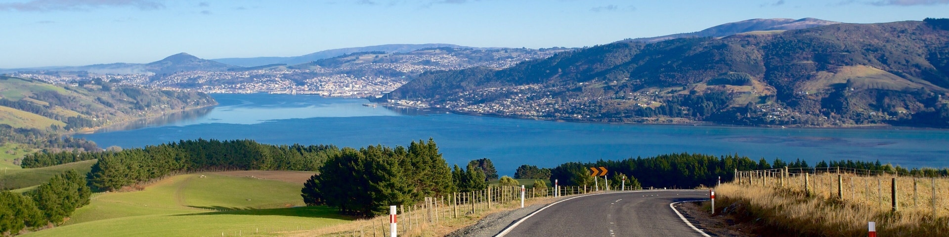 Dunedin ofreciendo vistas de paisajes y tierras de cultivo
