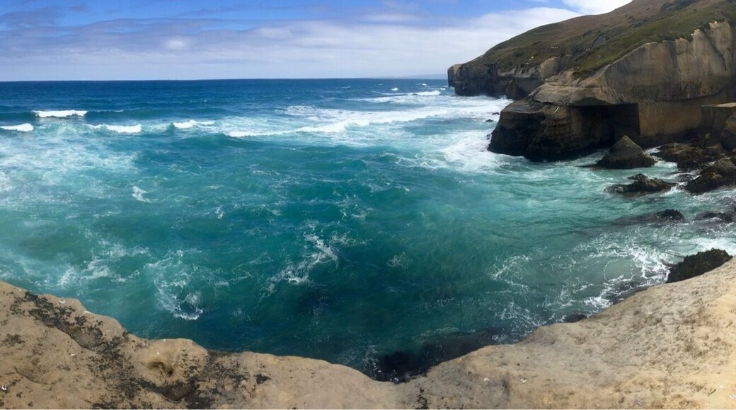 This was probably my favorite ocean view issue in New Zealand. Stunning! Do NOT miss!!!
It isn't a super long hike but it is pretty steep.