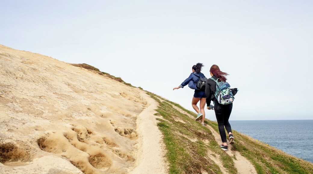 One of the first places I was able to explore with friends in NZ was Tunnel Beach. We weren't sure what to expect but once we got there we were astounded by the area spent the rest of the day exploring the ins and outs of the rock formations. #Adventure